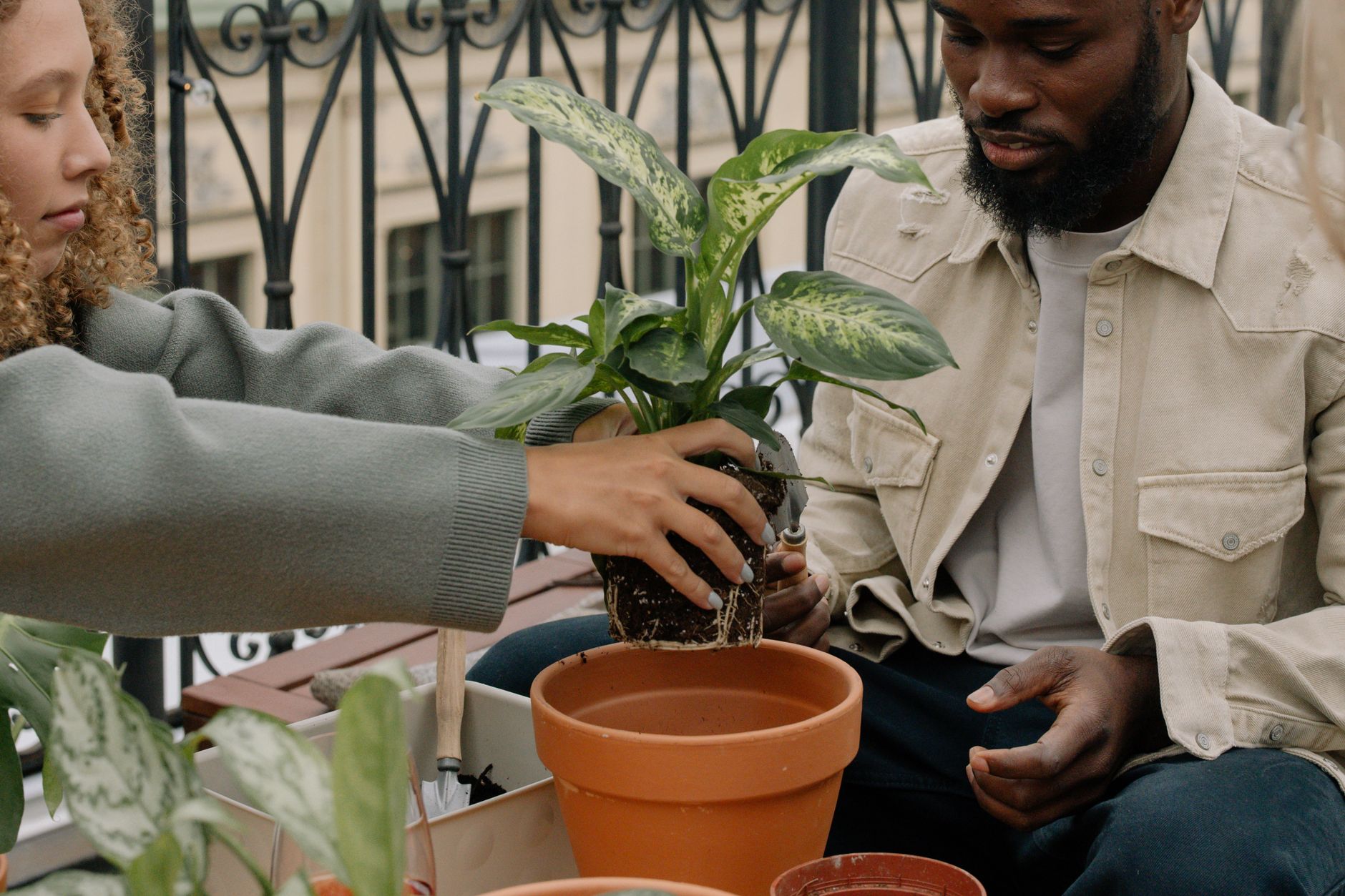 Why Your Bagged Soil Fails (And How to Fix It Without Repotting) — Fix Your Bagged Soil: A Renter's Guide to Nutrient-Rich Balcony Feeding