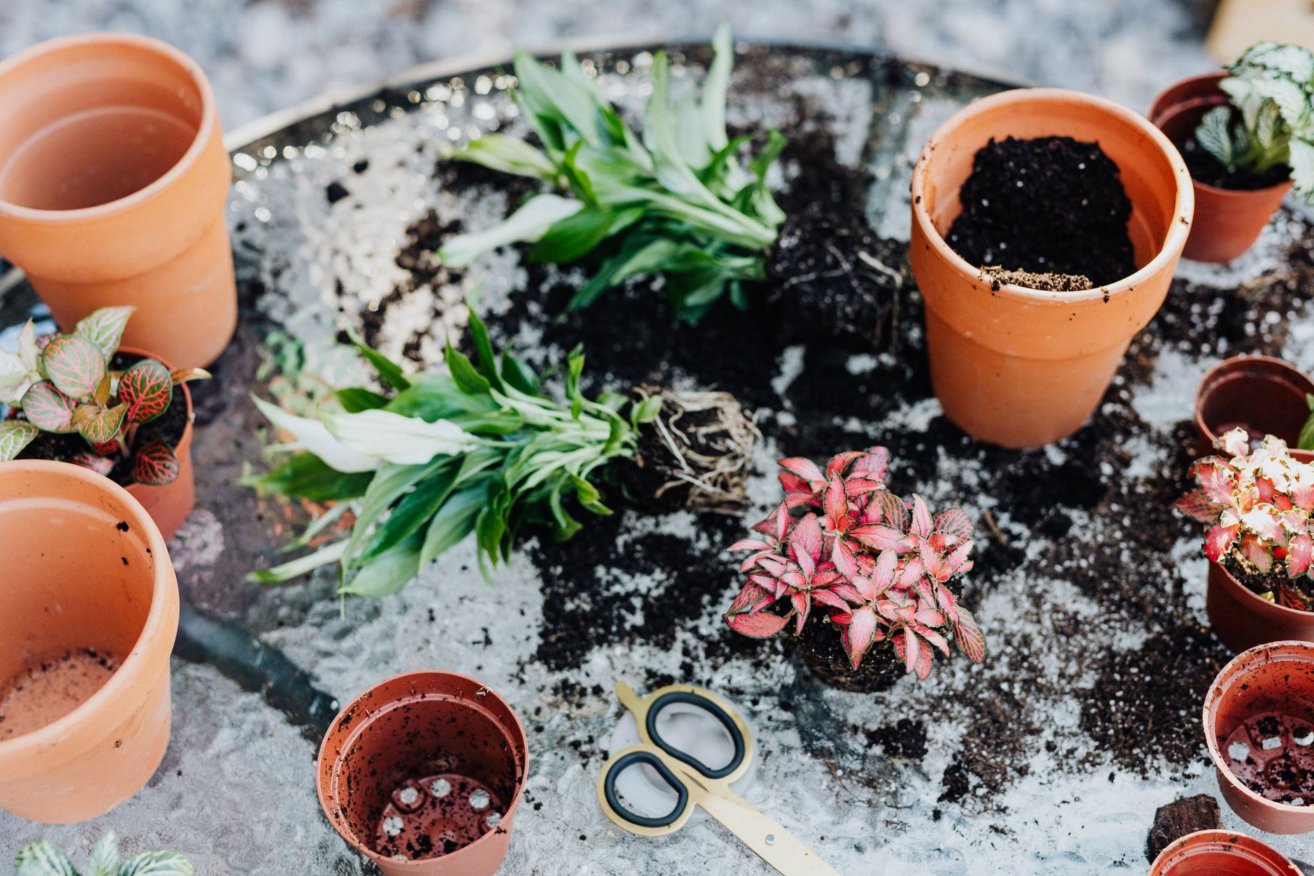 The No-Mess, Low-Odor Balcony Fertilizer Hacks — Your Balcony Soil Blueprint: DIY Mixes, Feeding Schedules & Low-Mess Tips